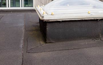 disadvantages of Llaneilian flat roofs