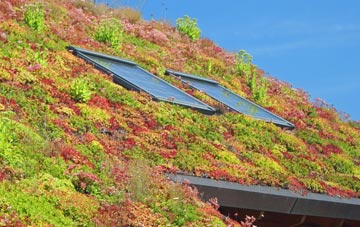 Llaneilian living roof systems